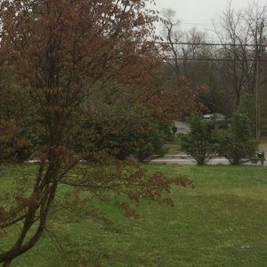 Meet your Posher, Yuchi